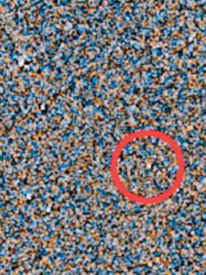 費查稱從圖片察看到一顆黑色物體（紅圈示）在緩慢移動。（NASA圖片）