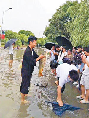 南京民眾在水淹處撈起大魚。