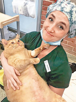 貓咪西巴身形肥胖。（Humane Rescue Alliance圖片）