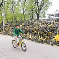 共享單車遭亂泊及偷車等亂象叢生。