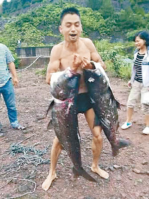 村民爭相撈魚。（互聯網圖片）