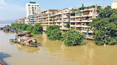 肇慶<br>西江洪水率先抵達肇慶，造成當地嚴重水浸，地下商舖被水淹沒。（互聯網圖片）