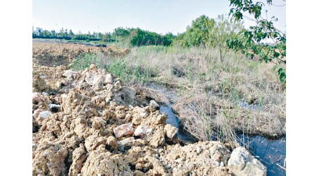 巢湖的濕地被破壞。（互聯網圖片）