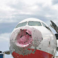 客機的機鼻嚴重受損。
