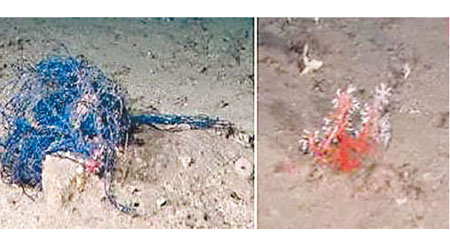 疑為中國漁船留下的漁網（左圖）及被毀的珊瑚（右圖）。（日本水產廳）