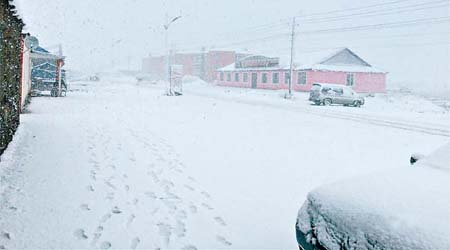 內蒙古提早迎來首場秋雪。（互聯網圖片）