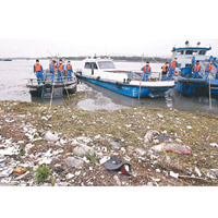 上海黃浦江曾出現大量漂浮死豬。（資料圖片）