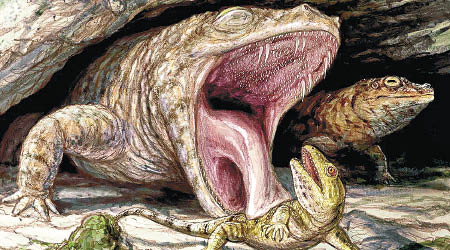 研究員在青蛙祖先的化石中，發現其上顎長有大量鈎狀的細齒。（多倫多大學圖片）