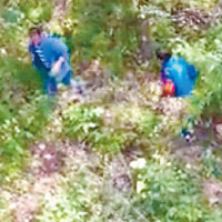 網民拍到有工作人員在樹叢中疑似尋人。