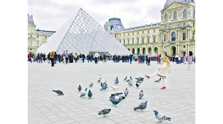 「鴿患」令巴黎政府頭痛不已。（資料圖片）