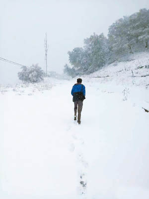 新疆日前已迎來今秋首場降雪。（互聯網圖片）