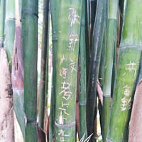 竹子上被刻上漢字與韓文等。（互聯網圖片）
