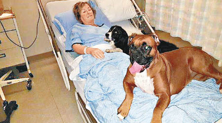 安妮特入院期間，與其中兩愛犬合照。（互聯網圖片）