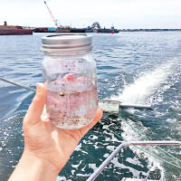 環保組織近年關注塑膠微粒對海洋的影響。（資料圖片）