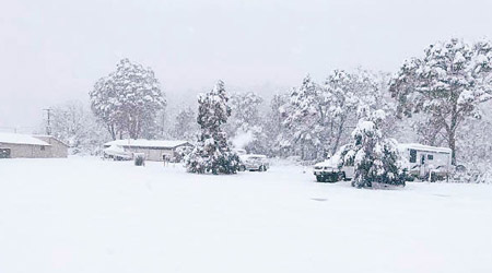 民眾拍下雪景。（互聯網圖片）