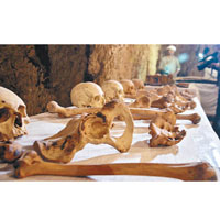 考古人員展示發現的骸骨。