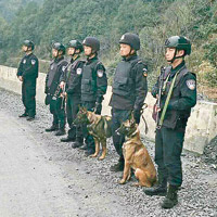 持槍警員與警犬搜尋疑兇下落。（互聯網圖片）