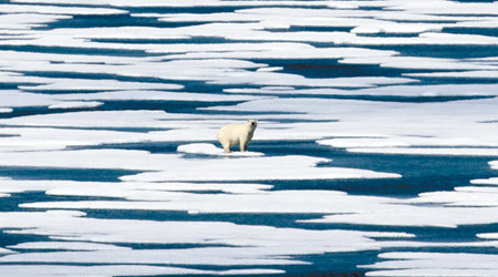 北極的冰層近年融化速度加快。