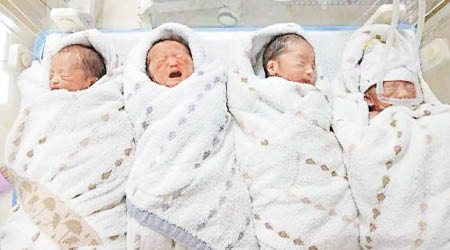 四位小寶寶要接受感染控制等治療。（互聯網圖片）