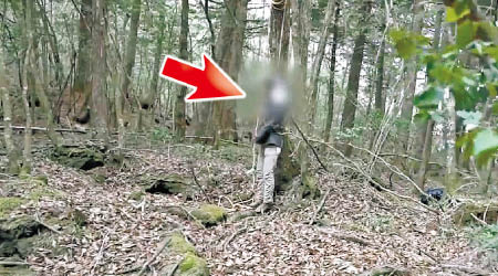 一名男子在森林中吊頸自殺（箭嘴示）。