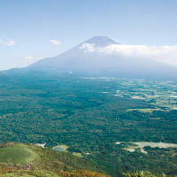 青木原樹海位於富士山腳。（資料圖片）
