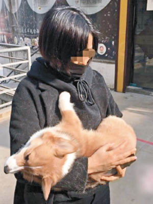 狗主手抱愛犬的遺體。