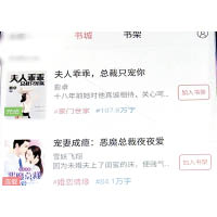 部分程式有連載小說，當中含有色情情節。