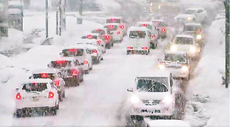 大雪令視野模糊，影響司機行駛。