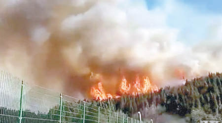 雲南發生多宗山林大火。（互聯網圖片）