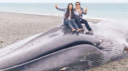 遊客坐於鯨屍上舉起勝利手勢自拍。（互聯網圖片）