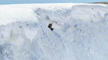 行山客發現Lilah和Cash依偎在雪洞。（互聯網圖片）