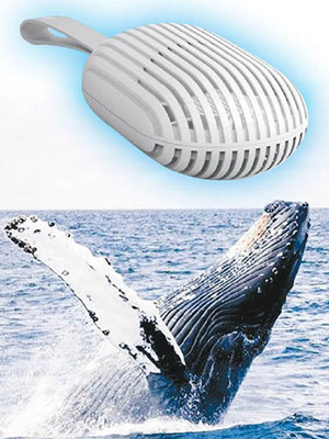 小風扇的造型有如「鯨魚肚」（下圖）。