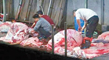 東莞多個官方指定屠宰場出現牛隻被注水的情況。（互聯網圖片）