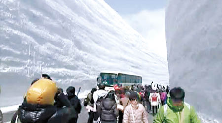 立山黑部開山，吸引大量遊客欣賞雪壁。（互聯網圖片）