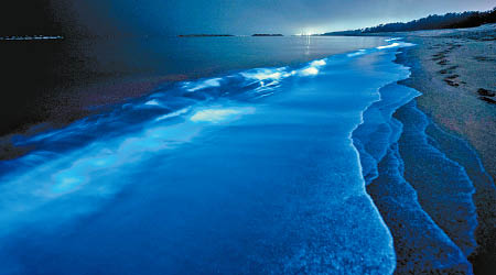 鳥取縣岩美町海邊出現動人的藍光。（互聯網圖片）