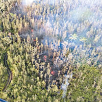 熔岩燒毀林木。