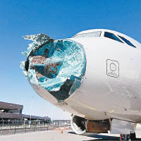 客機的機鼻損毀嚴重。
