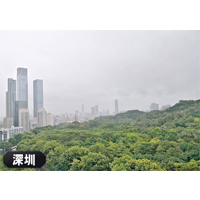 遠望深圳市昨日一片灰濛濛，且不停下雨。（互聯網圖片）