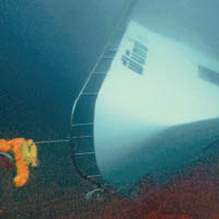 鳳凰觀光船沉入四十米海底。