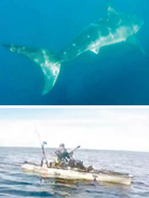 格克和巴威斯划獨木舟（下圖）期間，遇上巨鯊。（互聯網圖片）