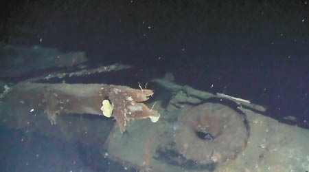 頓斯科伊號沉沒於鬱陵島附近海域。（互聯網圖片）