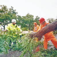 消防員及警員正清理塌下的大樹。（互聯網圖片）