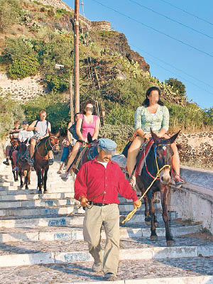 遊客坐驢子上山觀光，不堪負荷令牠們受傷。