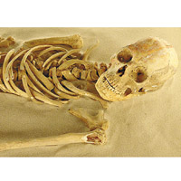 今次發現的人類遺骸有助進一步了解瑪雅文明。