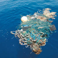 塑膠垃圾浮沉在海中，嚴重危害生態環境。
