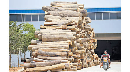 美國對中國木材等原材料加徵關稅。