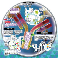 溫特研究、阿諾德研究、史密斯研究