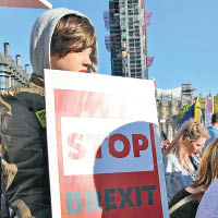 示威者要求再舉行脫歐公投。