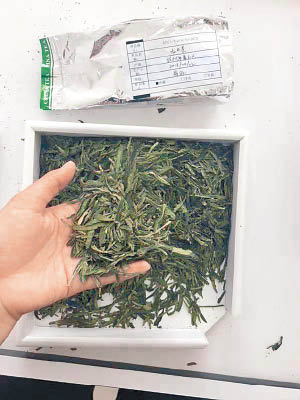 正宗西湖龍井茶葉受歡迎，市面經常出現冒牌貨。（互聯網圖片）