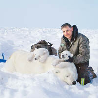 雷格爾研究北極熊多年。（互聯網圖片）